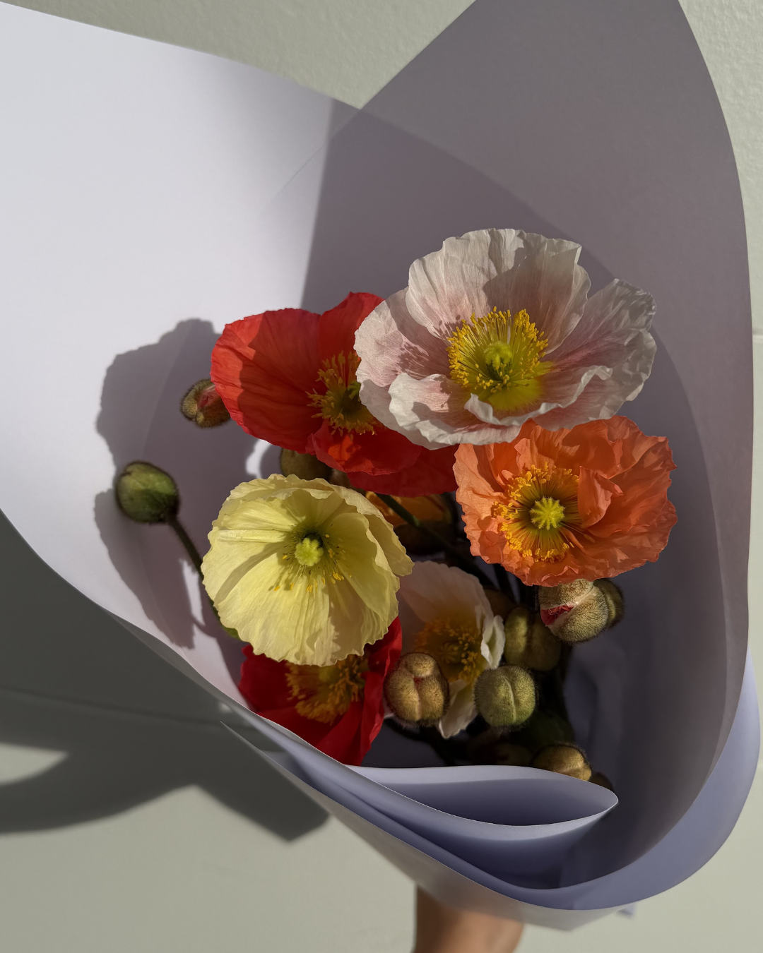 Bouquet Poppies