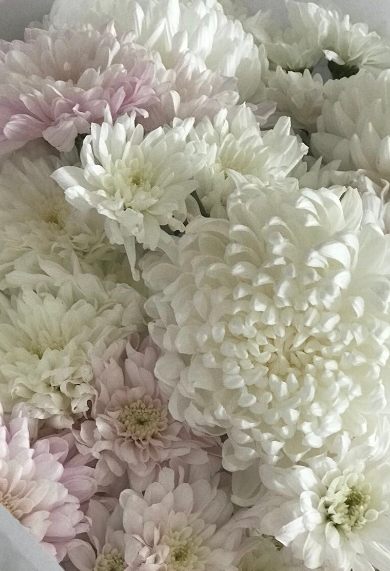 Mothers Day
