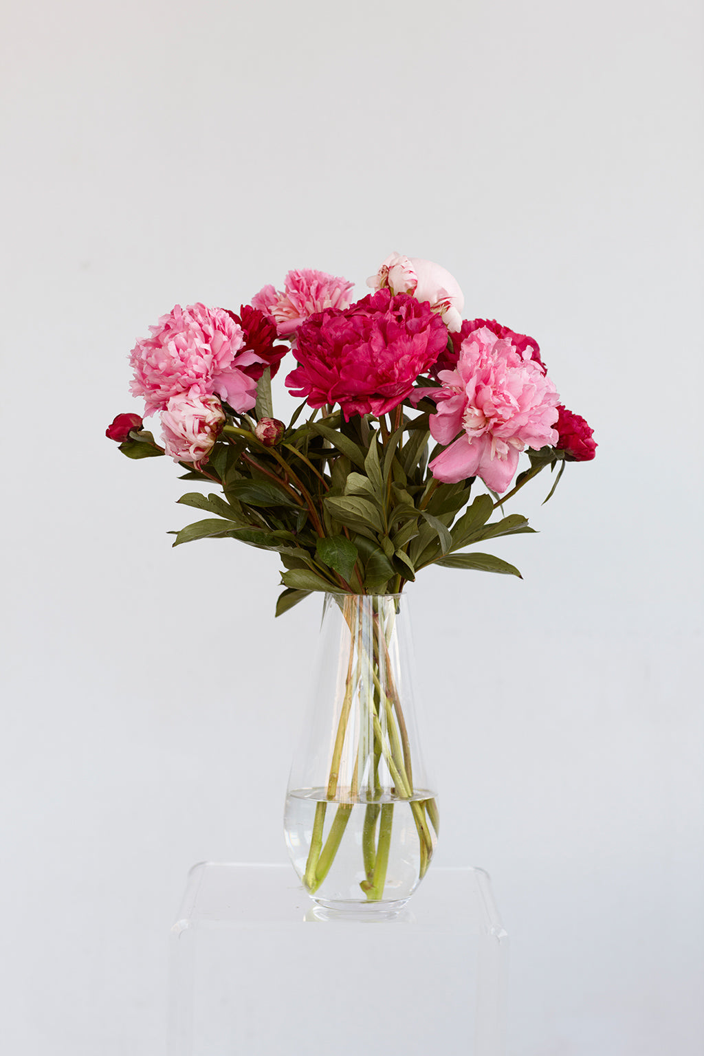 All one type of flower arrangement (peonies)