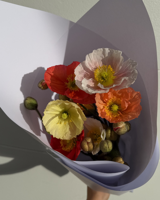 Bouquet Poppies