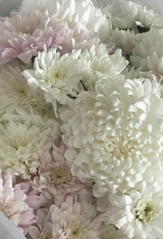 Mothers Day