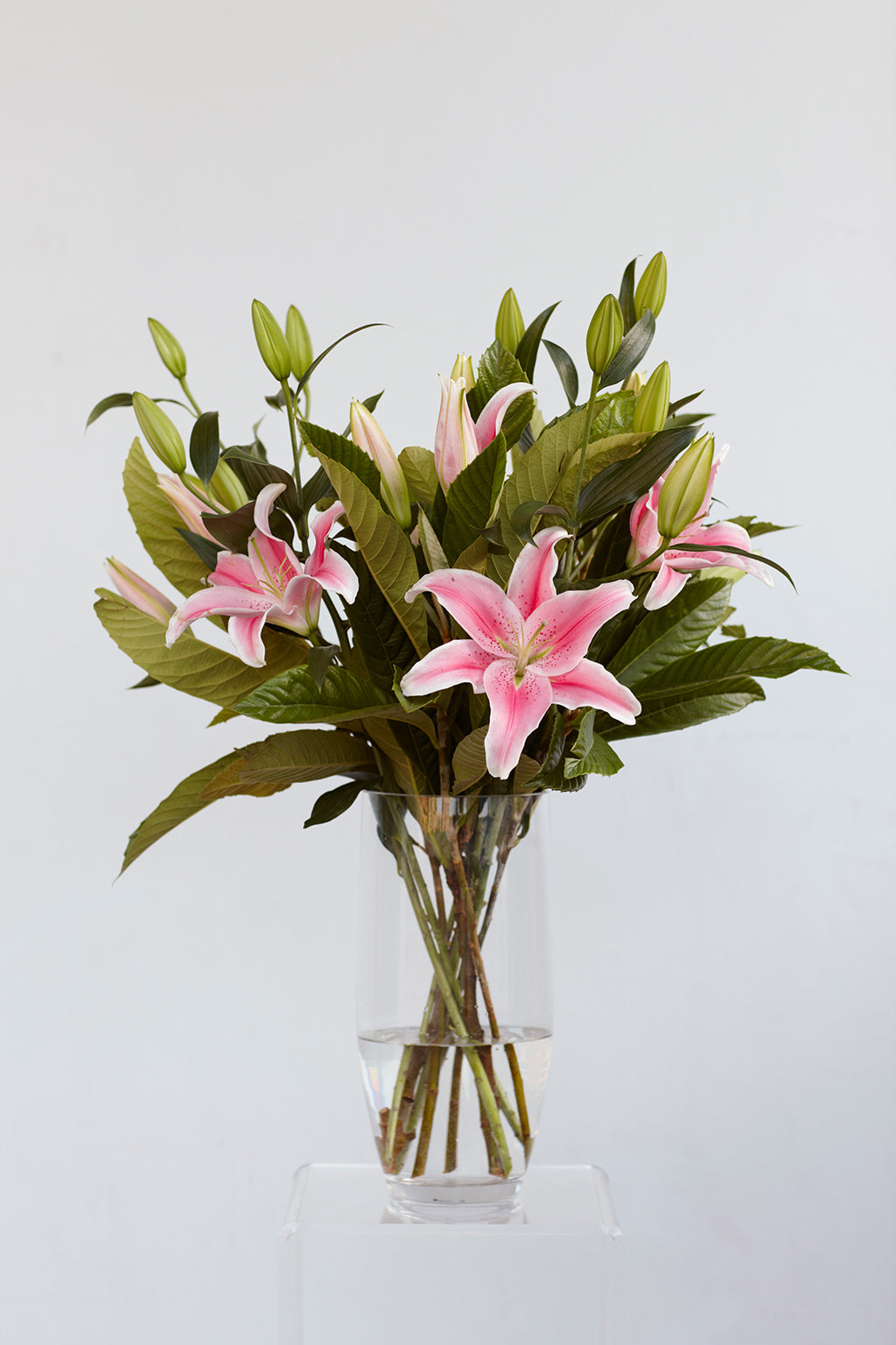 All one type of flower arrangement  (lilies) 