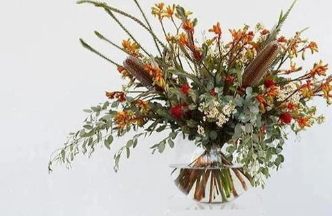 Native and Wildflower